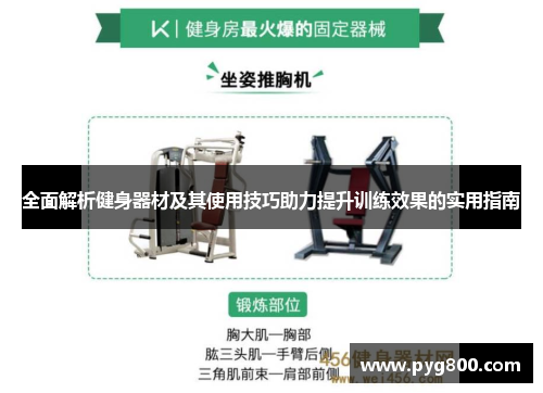 全面解析健身器材及其使用技巧助力提升训练效果的实用指南